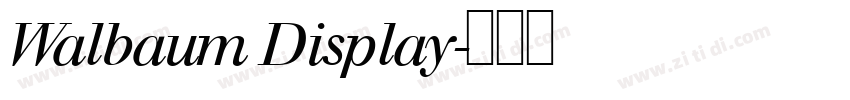 Walbaum Display字体转换
